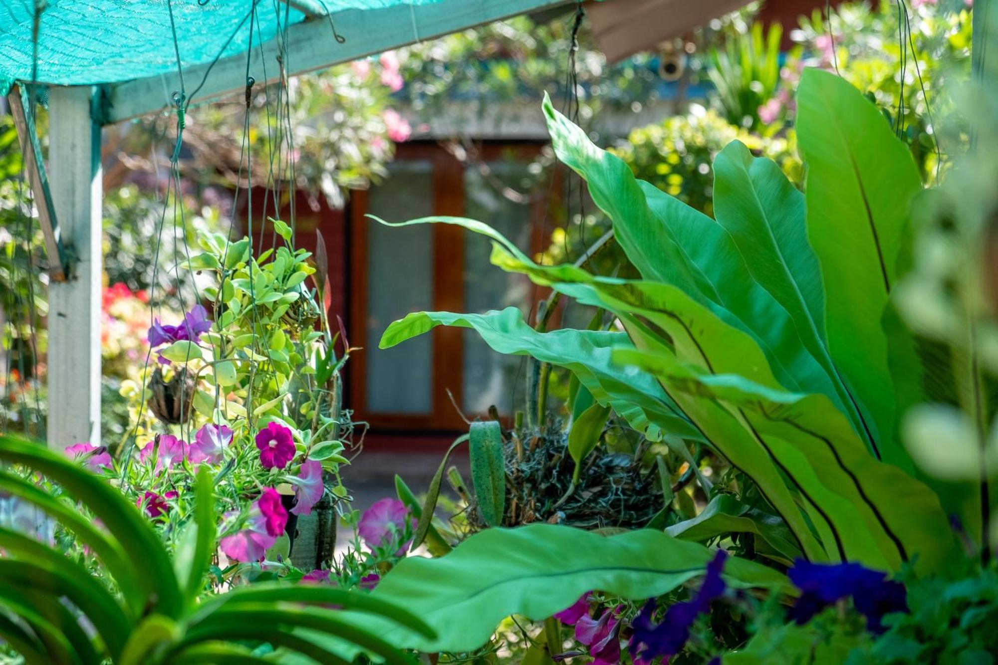 Thai Smile Bungalows Ko Lanta Екстериор снимка